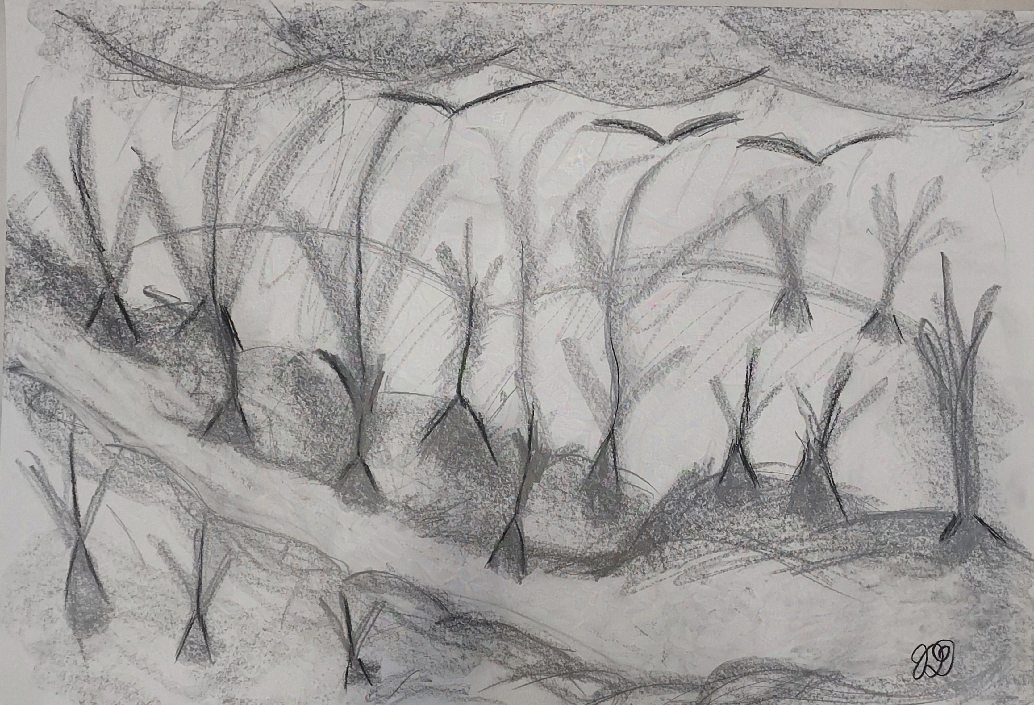 An abstract graphite stick drawing of plant people 
            worshiping the rain brought by the birds